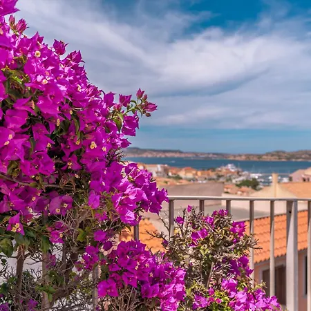 Appartement Ca'del Conte Palau